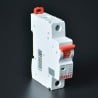 MINI INTERRUPTOR TERMOMAG50NETICO DE 1X50A 10KA SDA61C50 STECK