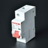 MINI INTERRUPTOR TERMOMAGNETICO DE 1X100A 10KA SDD1C100 STECK